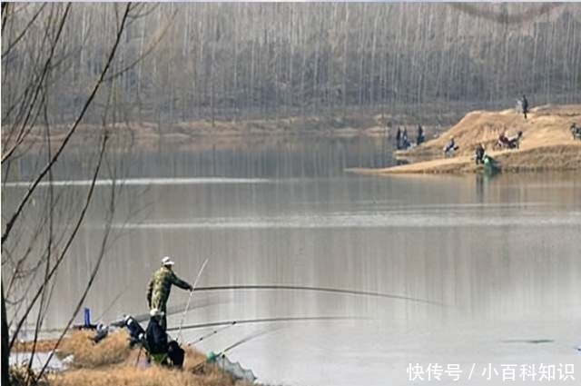  位置|冬天钓鱼选这三个位置，有口都是运气好，没口才是正常的