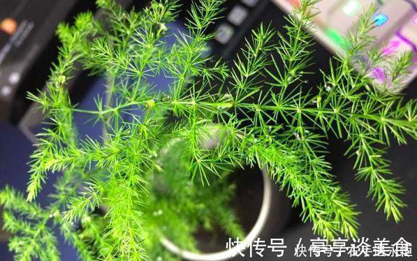 腐植酸|养花换下的土壤这样操作，就能无限循环