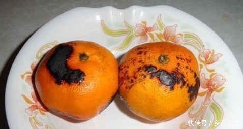 橘子放在火上烤一烤,别提作用多厉害,很多人不知道,提醒家里人
