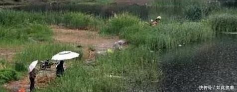 钓鱼|秋钓草边“三钓”、“三不钓”,用好了总有一次要爆护!