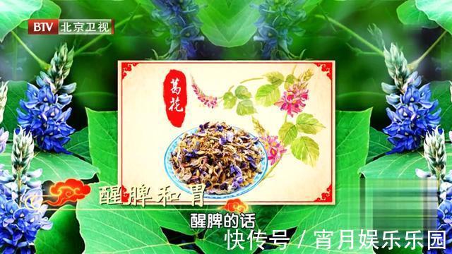 葛根|身边的“天然解毒王”!每天吃一点,健脾祛湿、给肝脏洗洗澡