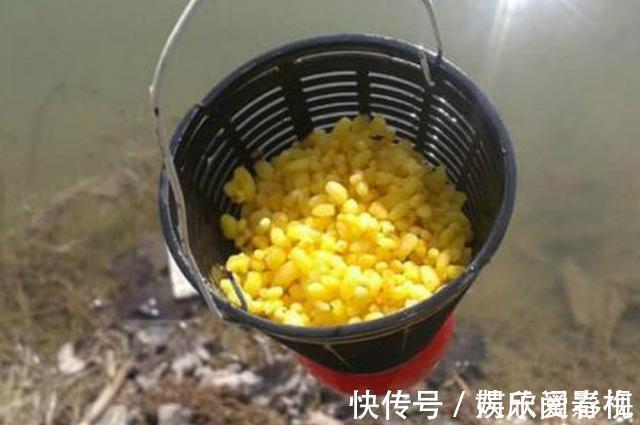 加点面|不打窝怎么钓好鱼?老司机直言:按我说的做,一支竿都钓不过来