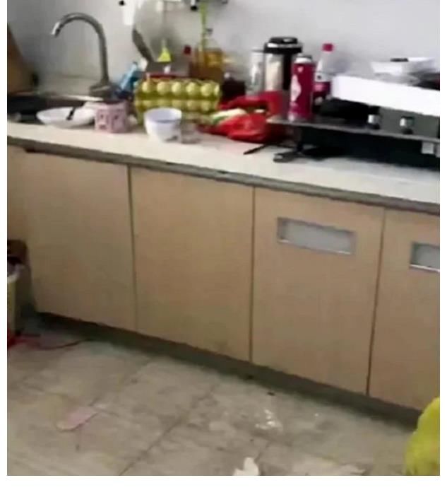 《快樂大本營》停播！到底是被誰毀了？