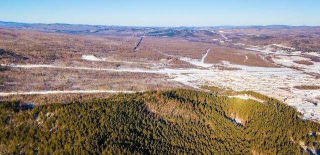 塔河|当年城里知青上山下乡，最冷的地方到了哪里