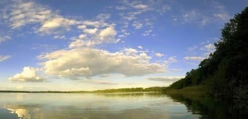 阴历|阴历几月出生的孩子,天生智商高,聪明伶俐,成为父母的骄傲