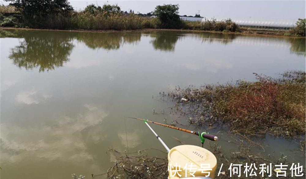 冬季钓鲫鱼，找准鱼窝就能爆护！如何找到鱼窝至少有这几大方法