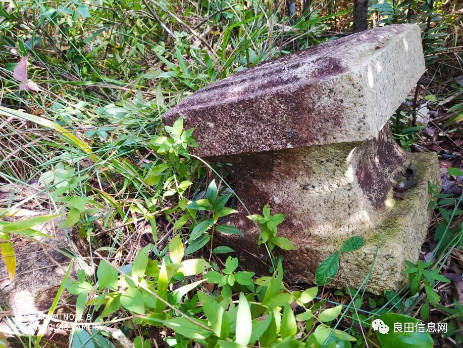 高峰|探寻揭西第一高峰附近的仙人塘古庵遗址