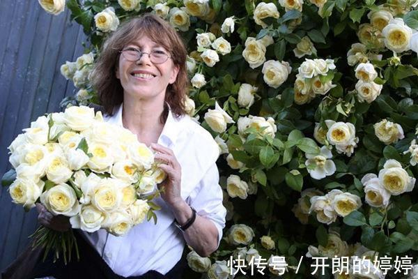 8种浓香型月季,个个惊艳十足,花香闻之沁人心脾,让人爱不释手