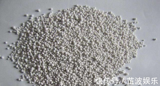 有机肥|花肥不用多,一种就足够,花不了几块钱,养啥花旺啥花