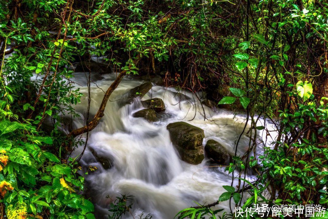 畅游清溪森林公园，领略壮美的黄茅田瀑布，植被繁茂，溪涧纵横
