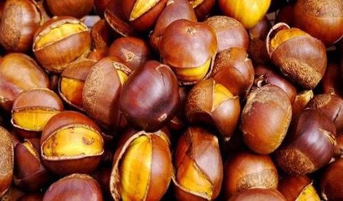 害怕身体衰老,推荐吃的食物,预防痛风,通乳散结,活血化瘀