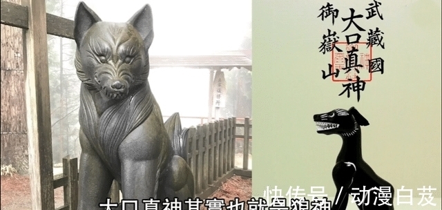 大和|海贼王1020话情报:大和的果实是狼神,罗宾确认山治在船上的地位