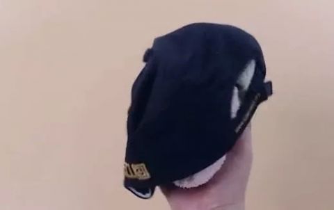 洗完的衣服皱巴巴只需一个小动作,衣服平整没褶皱,太实用了!