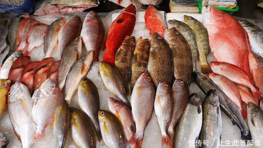 鱼肉|这6种海鱼既便宜又好吃,海鲜摊主看来是吃鱼的行家!