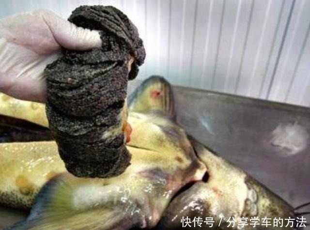 全球最“不道德”的美食,因虐待动物而取得,网友下不去嘴