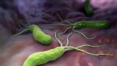  幽门螺杆菌遇到“死对头”了，6物敞开吃，抑菌又养胃！