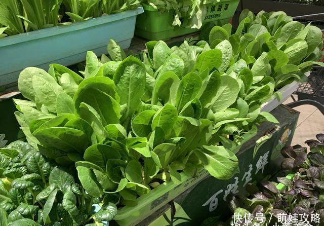 无论怎么节约,都不要吃此6种隔夜的食物,危害大别再乱吃了