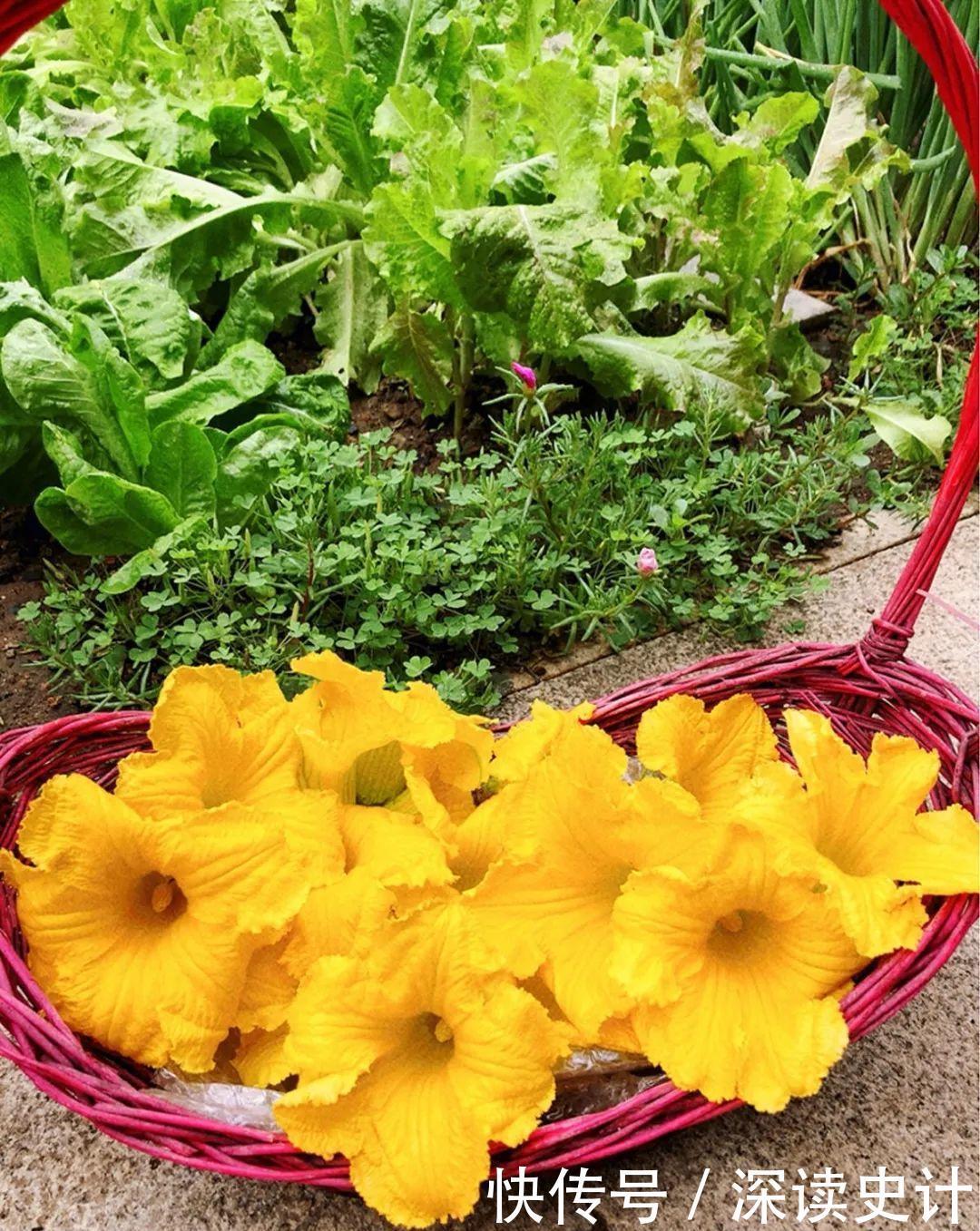 农村的6种花，烙饼子、炒菜、炖汤···再晚没得吃了！