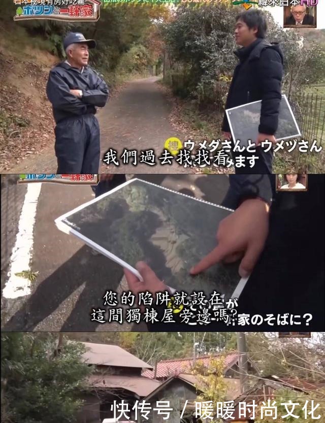 房好吃惊|23年种5700棵树 这个老人把荒山建成了森林公园