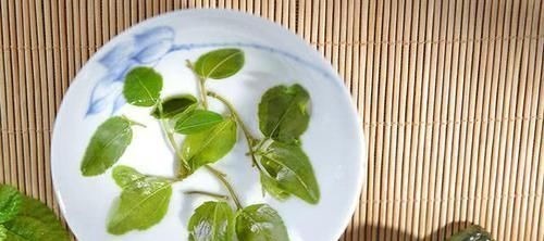 失眠|总是失眠睡不着5个“土方法”助你躺下就睡着,跟安眠药拜拜