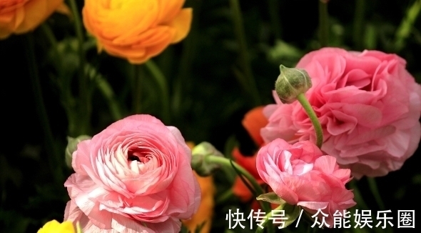 酒桌!老祖宗酒桌识人术:记住三个口诀,帮你轻松看穿一个人