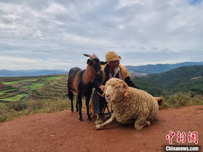  云南|云南拟打“生态牌”助推“疫”后旅游产业复苏