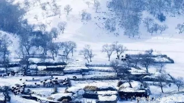 冬天|毛泽东笔下的冬天,大气磅礴,何等壮美,何等洒脱!