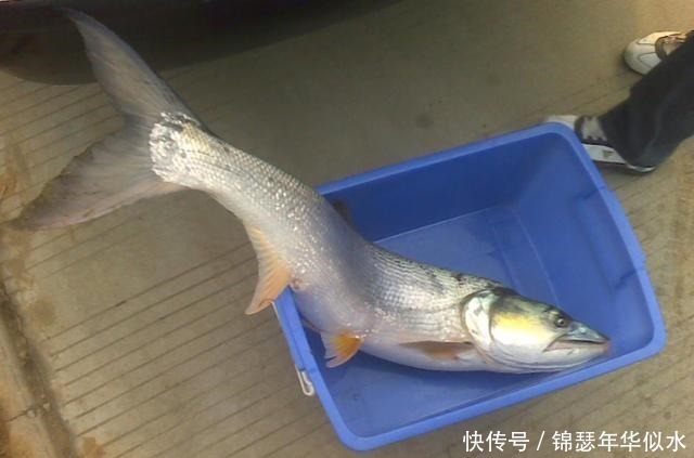 这几种渔具不要买，因为他们赚了你的钱还把你当傻瓜，记牢了