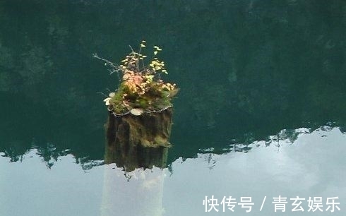 教你做一个“永久鱼窝”,只要别人不知道,连竿上鱼的永远是你