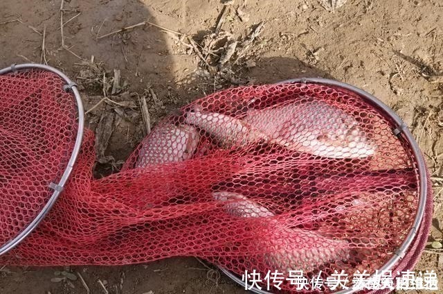 老爷爷|十几年的钓鱼经历,认识了4种“另类钓友”,大幅拓宽了垂钓边际