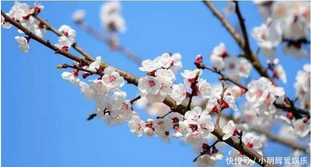 罗隐:唐朝混得最惨的诗人,10次科举都没中,他的诗却美如画卷