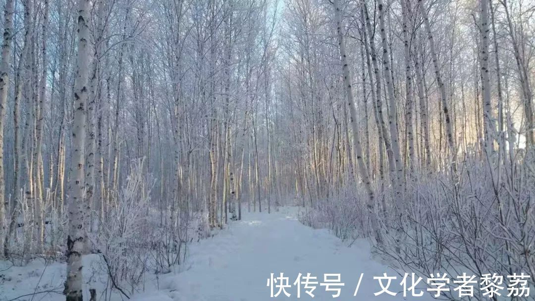 忘川#即使在一百年之后