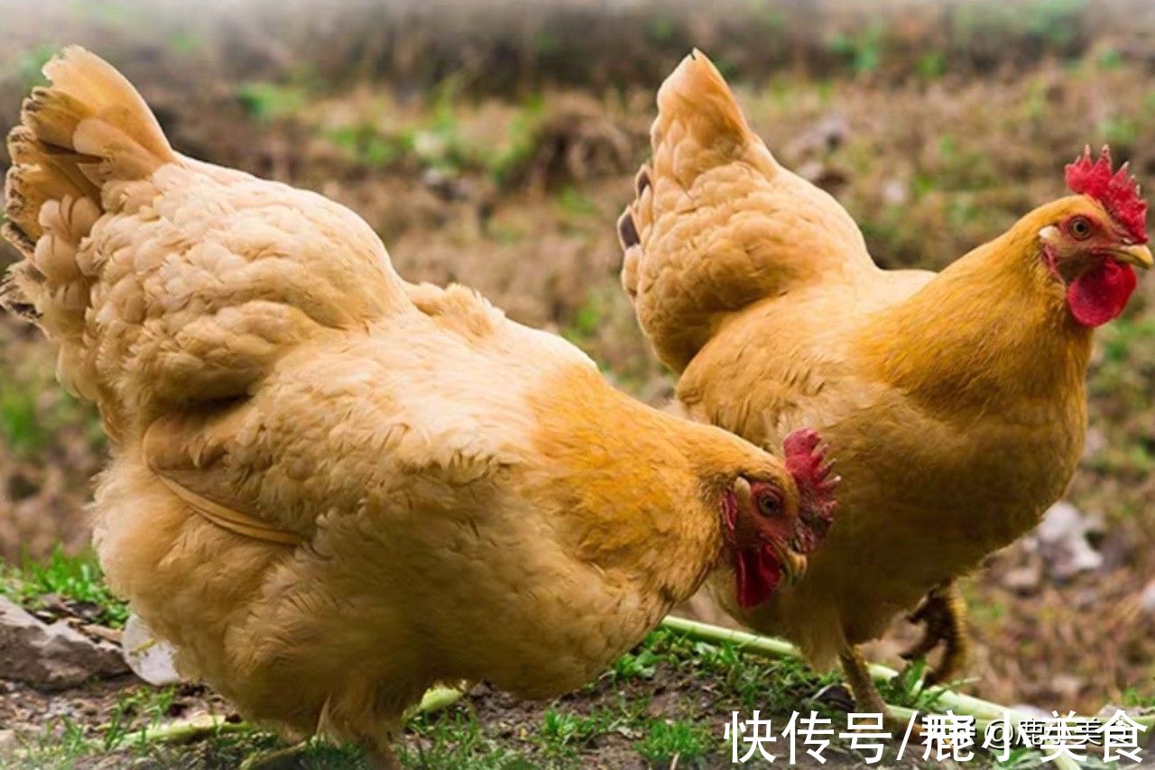 菠菜|明日霜降，记得让家人多吃“3肉3菜3果”，顺应而食，健康迎冬