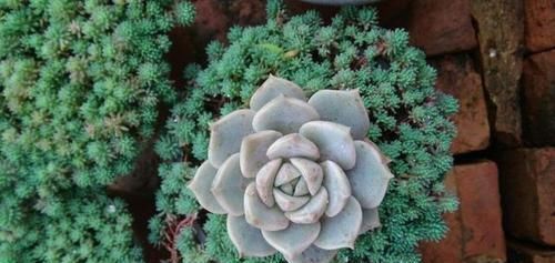 教大家几道家常菜，浓香四溢，鲜嫩美味又可口，好学易做