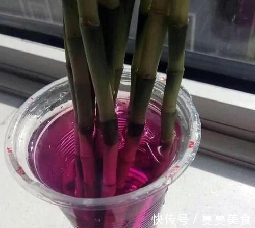 过期小药片不要丢，尤其是这3种，用来养花，生根快开花多