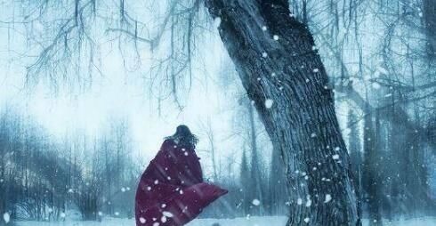 清代@清代一诗人,大雪纷纷的夜晚写下一首诗,字字让人落泪