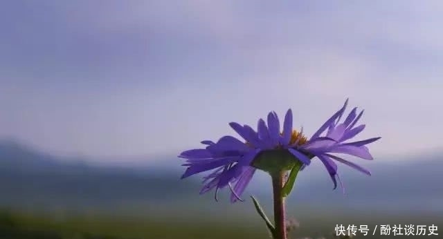 烟雨夜读 流年逐水去,明月照人来