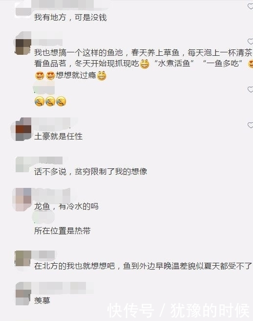 鱼缸和池还可以这样结合?只能说很有想法,有钱我也搞一个!