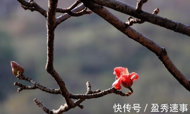 富贵在天|富贵在天, 生死由命(拼了)