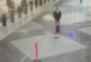 |搞笑GIF趣图:小子,你给我过来,你肯定是故意的!