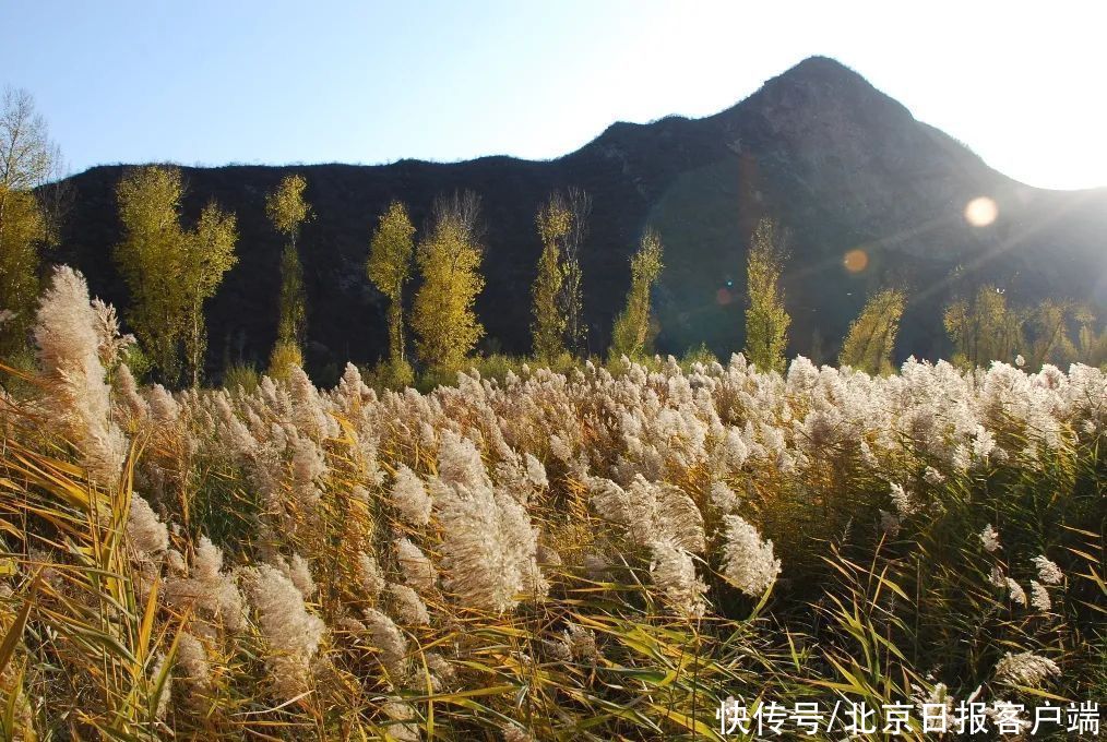 浴场|游游走走，纵享端午，小假期就跟北京号来这里打卡