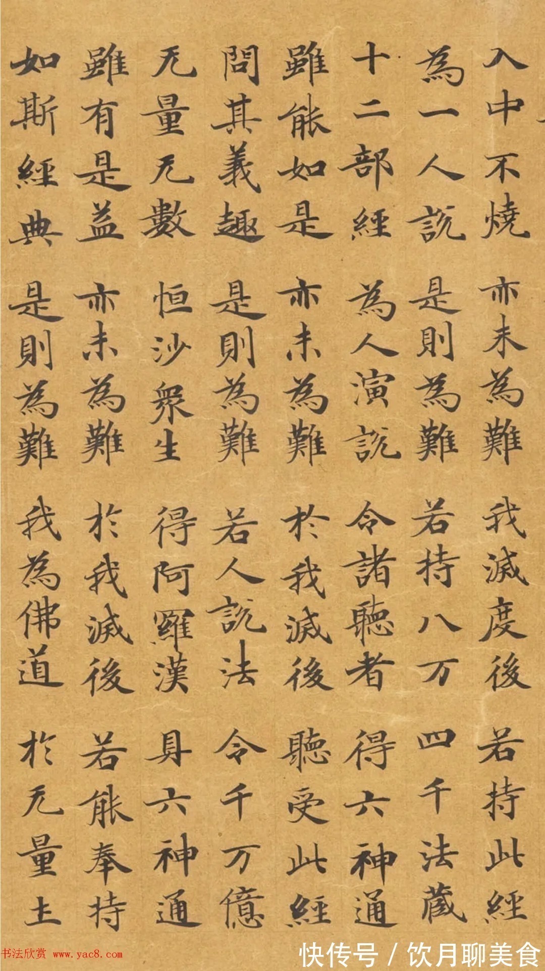 安昌$唐代封安昌楷书《妙法莲华经》虞世南之子监制