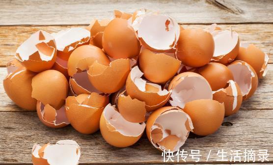 鸡蛋壳日常妙用多多 以后可别再傻傻丢掉啦