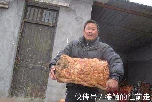 肉灵芝！秦始皇到死都没找到它，竟让一位农民无意间捡到，价值不可估量！