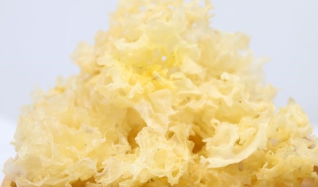 预防心血管疾病|女性到了中年常吃四种食物,祛湿排毒,降压减脂,预防心血管疾病