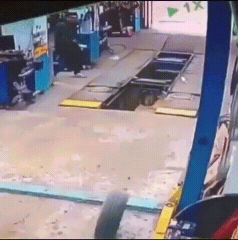 |搞笑GIF:这是谁家的狗子,再每天来这里锻炼身体,我们可要收费了