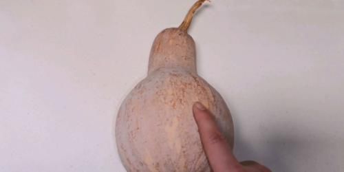 南瓜不能买这3种,每一种都很重要,别当耳旁风,长记性