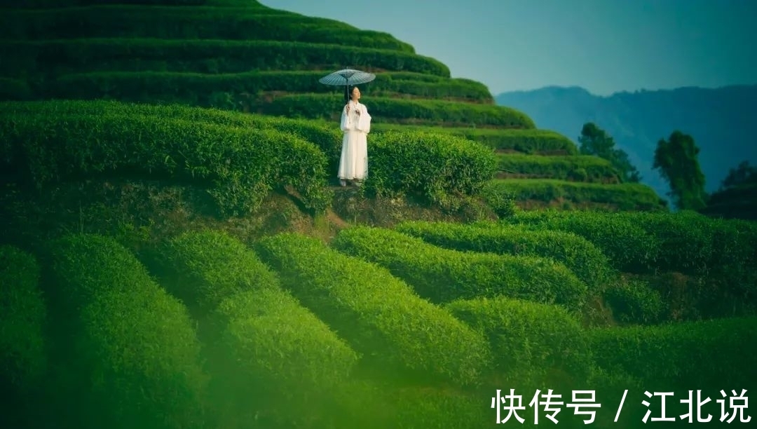 钟子期&最清净的活法:一书,一茶,一知己