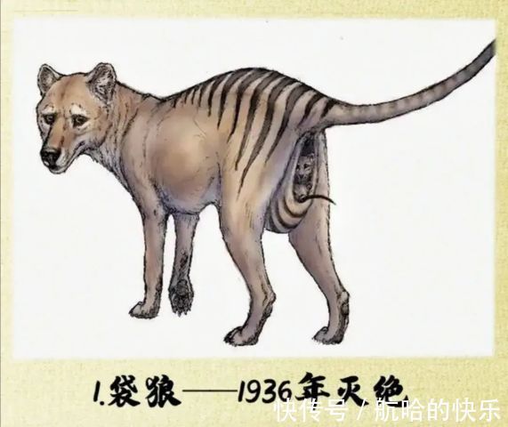 奥特曼|爆笑神评丨奥特曼灭绝了?光消失了?