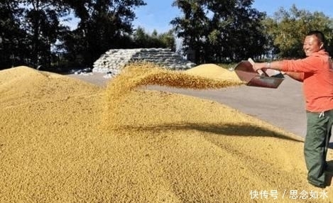 颈椎病|颈椎病脖子很不舒服？往枕头里放点“它”，颈椎病慢慢就好了